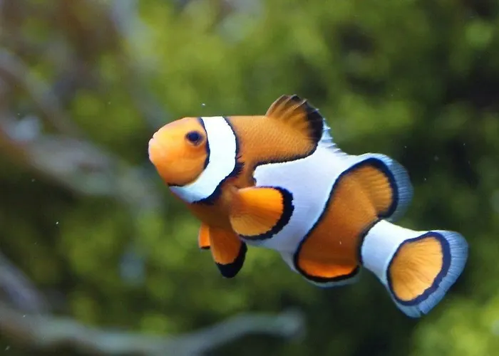 Hilton Garden Centre Μπρίστολ