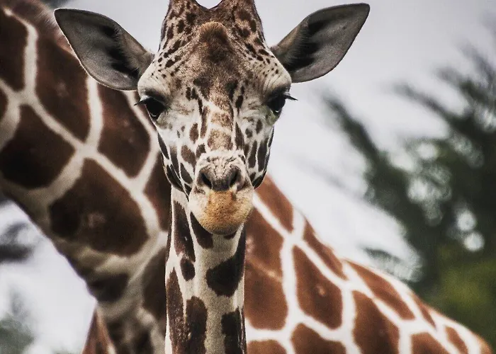 Hotel Hilton Garden Centre Bristol